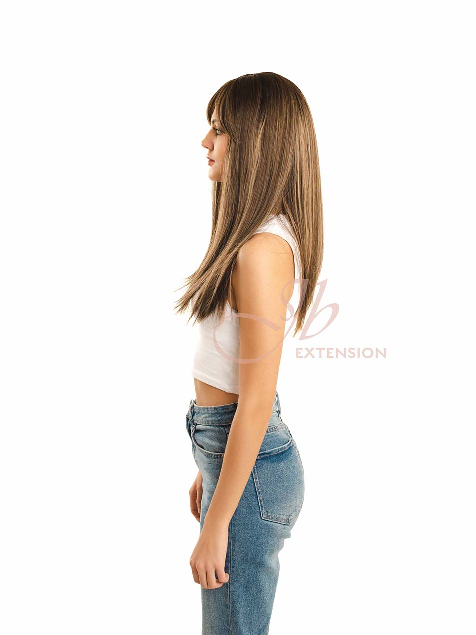 JBEXTENSION 22 Inches Dark Brown With Blonde Highlight Straight Wig ISABEL