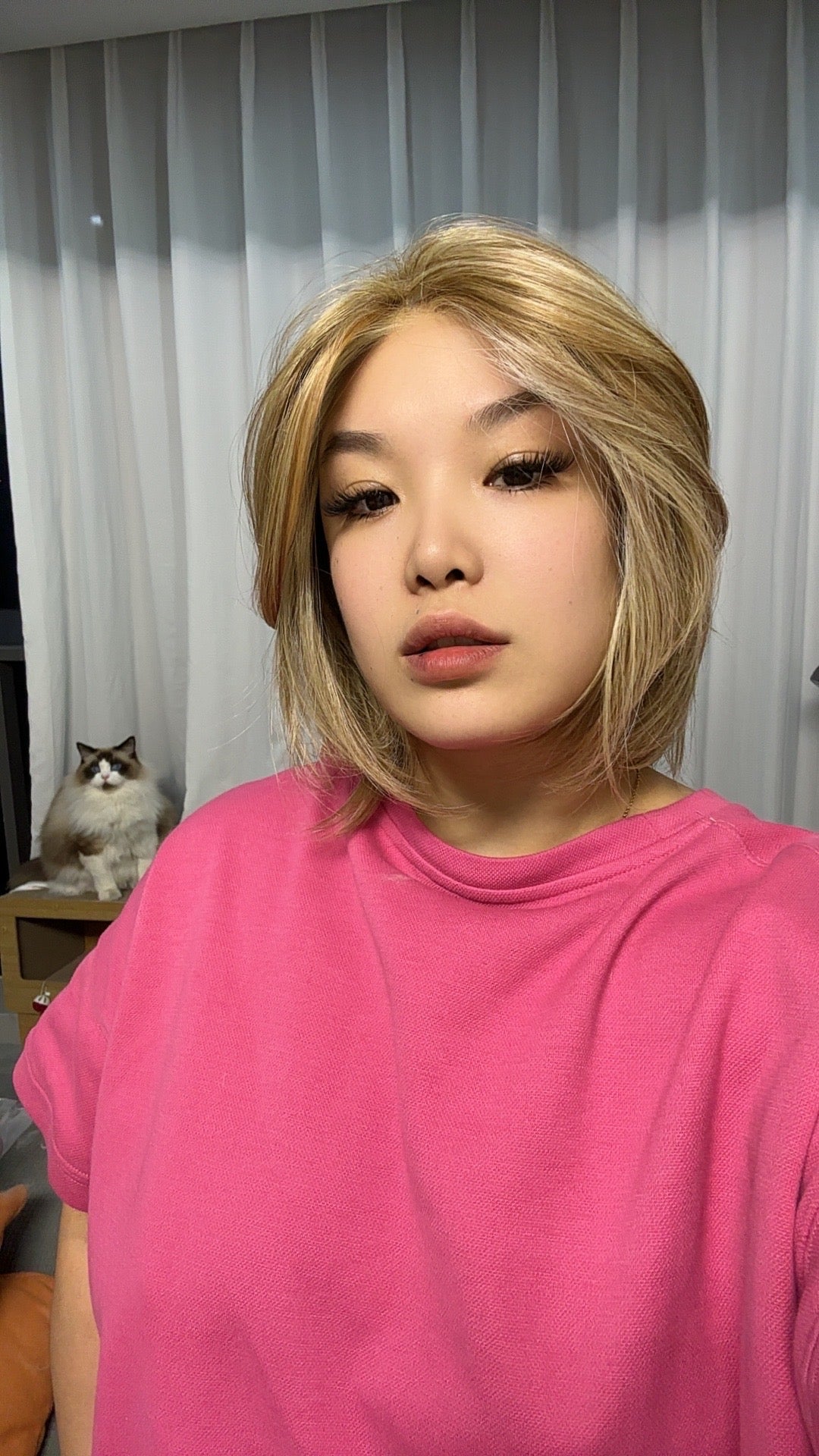 JBEXTENSION 12 Inches Bob Cut Honey Blonde Pre-Cut Snowflake Lace Frontlace Glueless Wig KHLOE HONEY BLONDE【PERMATEASE】【BENDY EAR TABS】- M/L