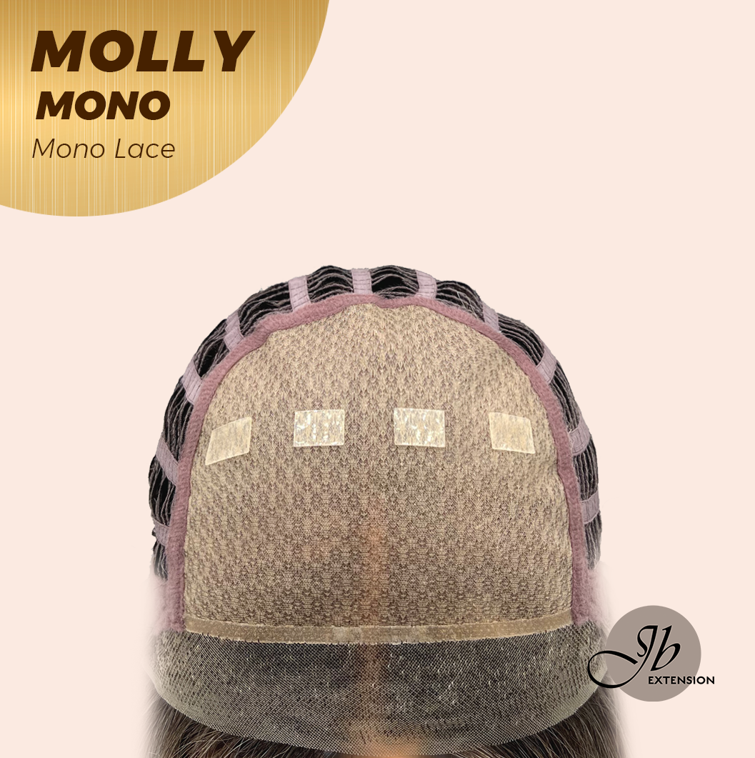 JBEXTENSION MOLLY MONO Monofilament Handmade Wig 6X5 Full Monofilament Hand Tied Top Wig 18 Inches Ash Blonde Mono Lace Wig with Anti-slip Silicone Strips Glueless Wig MOLLY MONO【BENDY EAR TABS】