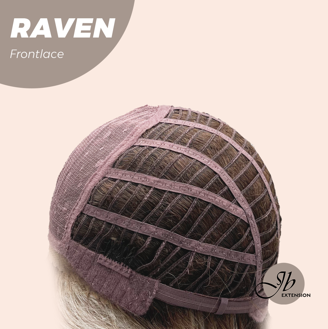 JBEXTENSION 12 Inches Ash Grey Pre-Cut Side Part Frontlace Glueless Black Sapphire Wig RAVEN- BLACK SAPPHIRE【BENDY EAR TABS】