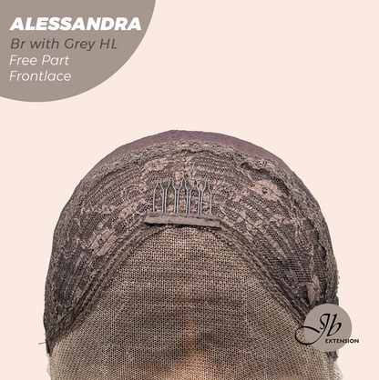 JBEXTENSION 20 Inches Brown with Grey Highlight Curly Fiber X, Tangle Less Pre-Cut Free Part Frontlace Glueless Wig ALESSANDRA GREY【FIBER X】
