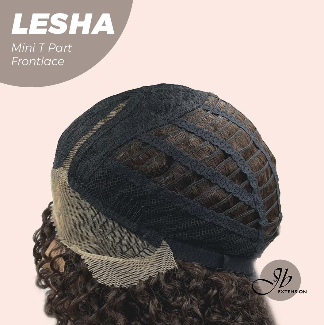 [FINAL SALE] JBEXTENSION 12 Inches Deep Curly Brown Side Part Mini T Part Frontlace Glueless Wig LESHA