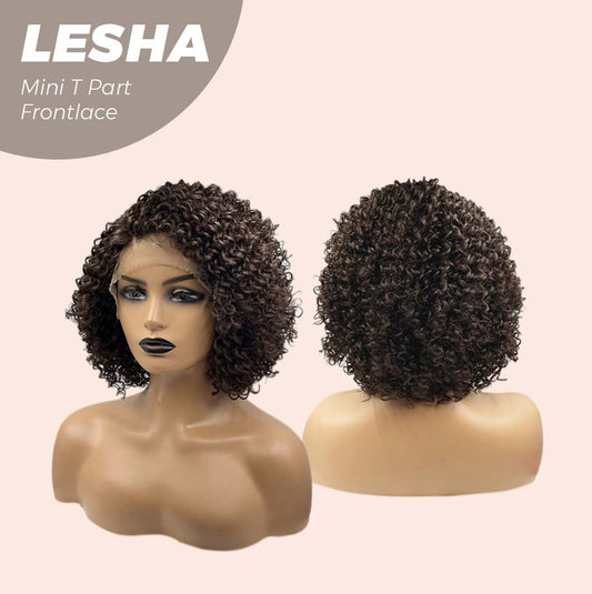 [FINAL SALE] JBEXTENSION 12 Inches Deep Curly Brown Side Part Mini T Part Frontlace Glueless Wig LESHA